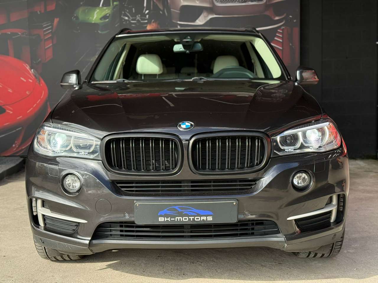 BMW X5 X5 2.0 dAS sDrive25 — foto 2 van 25