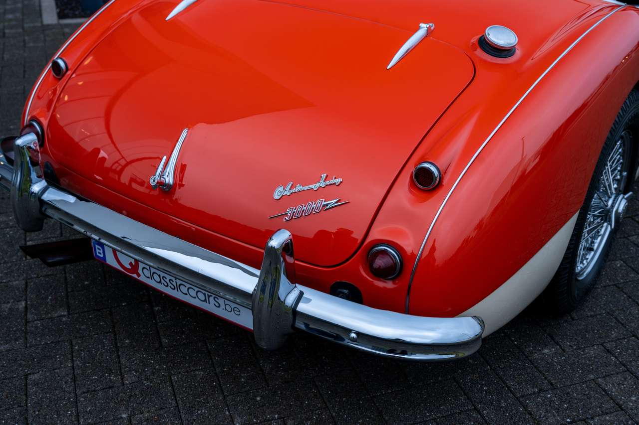 Austin-Healey 3000 BN7 MKI — foto 8 van 17