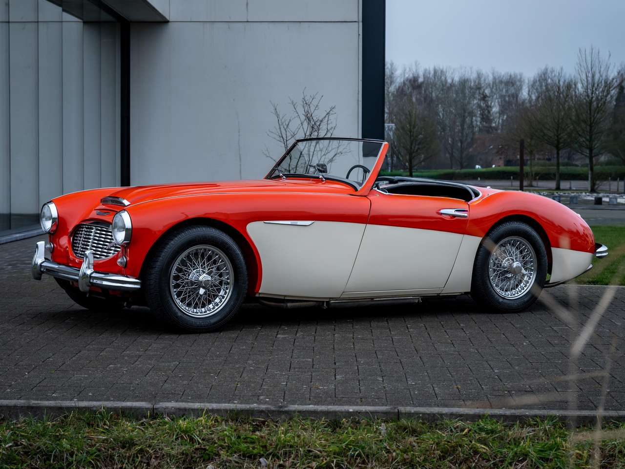 Austin-Healey 3000 BN7 MKI — foto 15 van 17