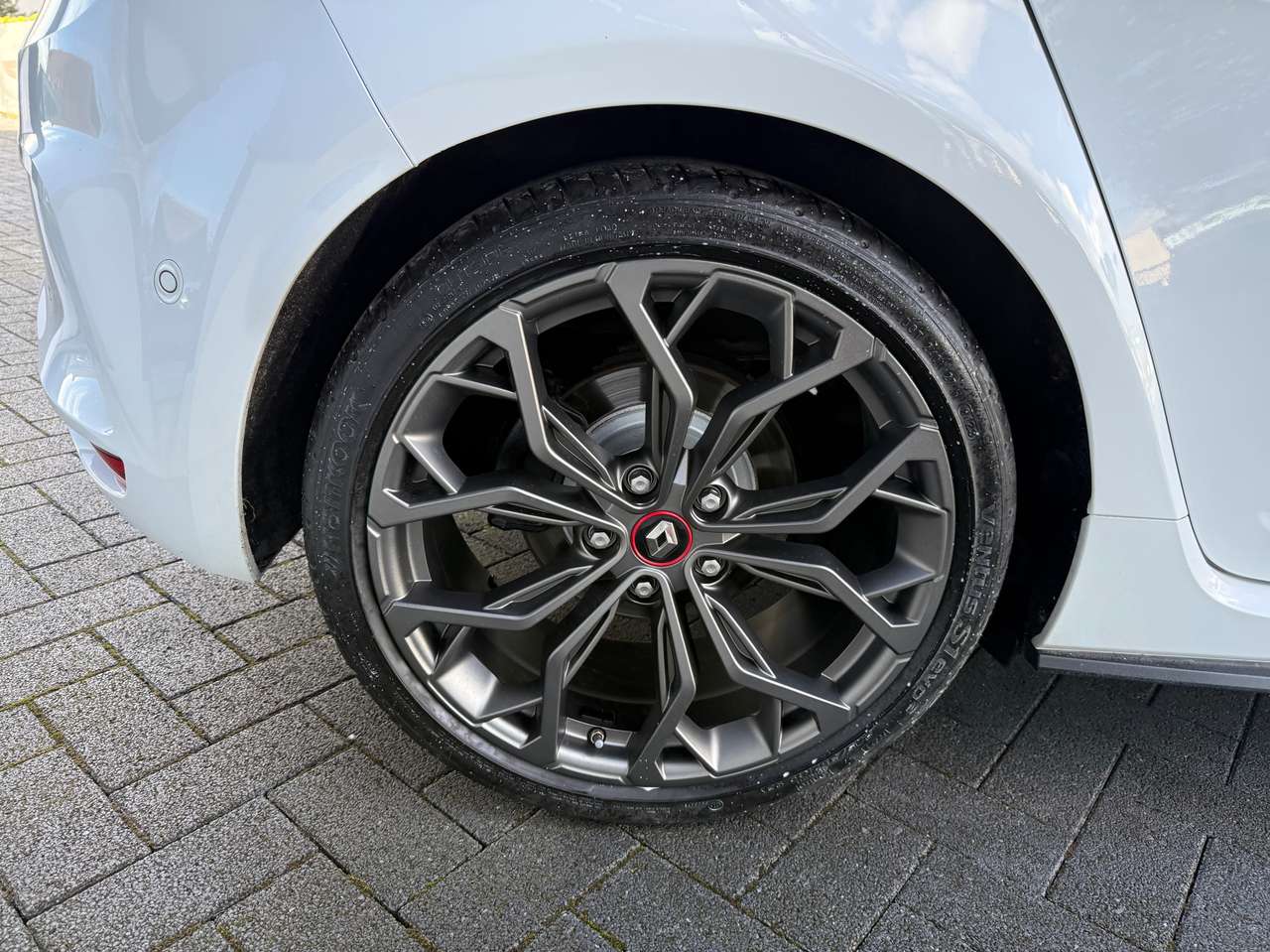 Renault Megane 1.8 TCe R.S. 300 Ultimate EDC — foto 9 van 22