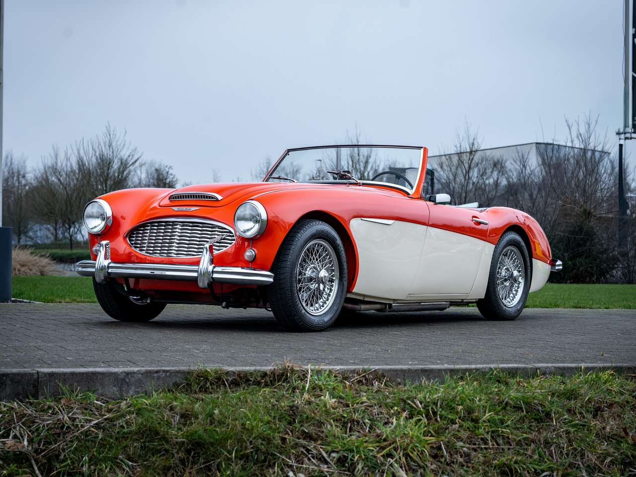 Austin-Healey 3000 BN7 MKI — foto 16 van 17