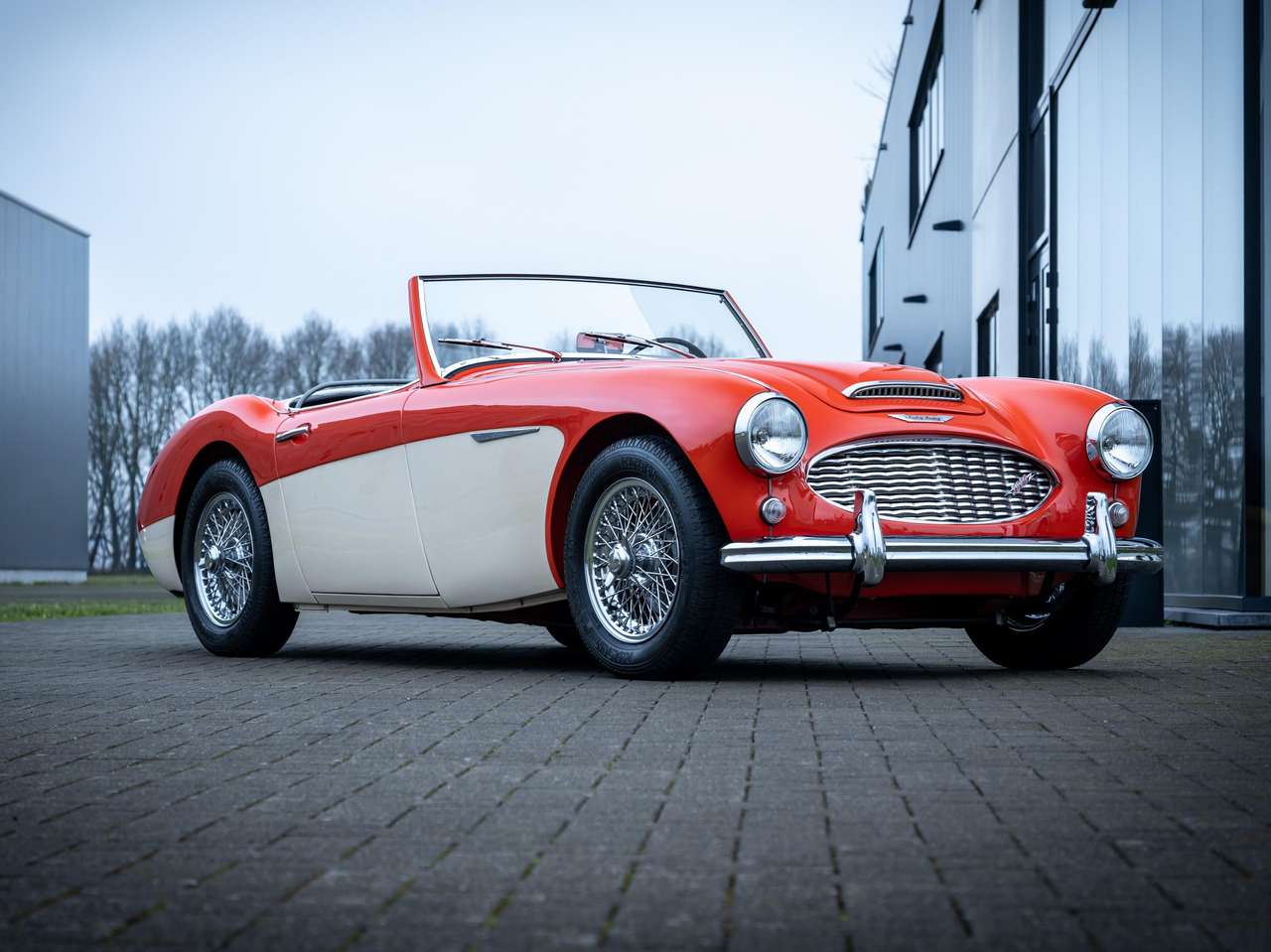 Austin-Healey 3000 BN7 MKI — foto 2 van 17
