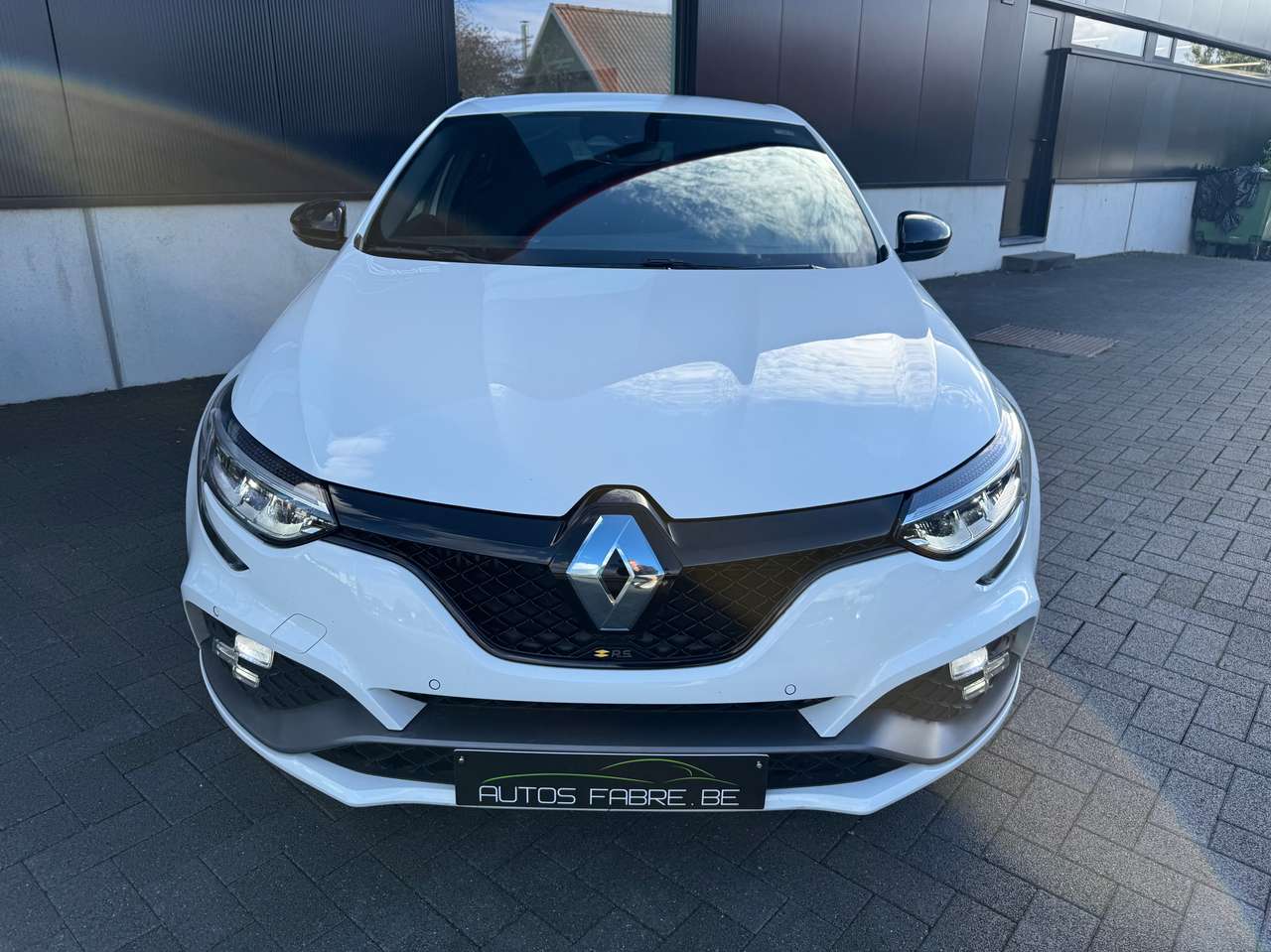Renault Megane 1.8 TCe R.S. 300 Ultimate EDC — foto 2 van 22